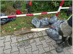 sniete14.jpg